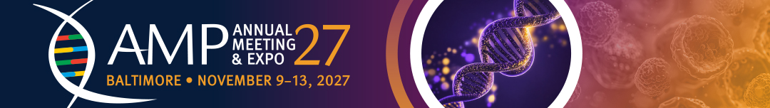 AMP 2027 banner