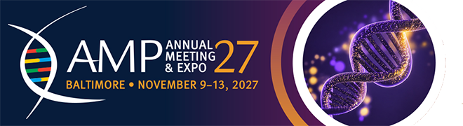 AMP 2027 banner